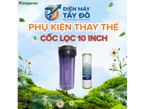 Cóc lọc đầu nguồn 10 inch –  lọc đầu nguồn