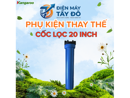 Cốc lọc đầu nguồn 20inch
