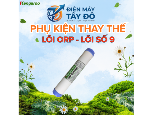 LỎI LỌC ORP